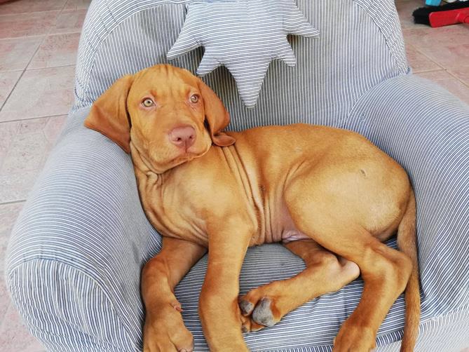 Egy emlékezetes nyári program