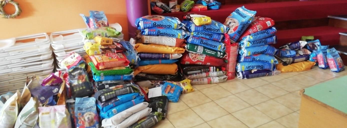 Állatos nap az Izsákban