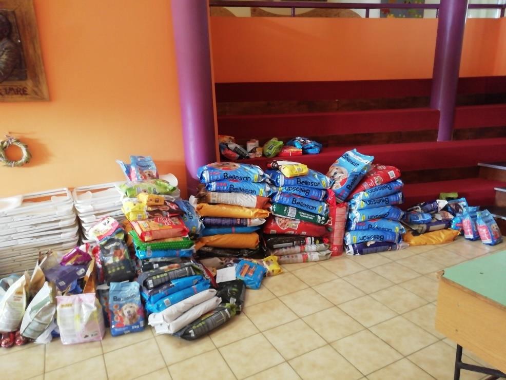 Állateledel-gyűjtés a suliban