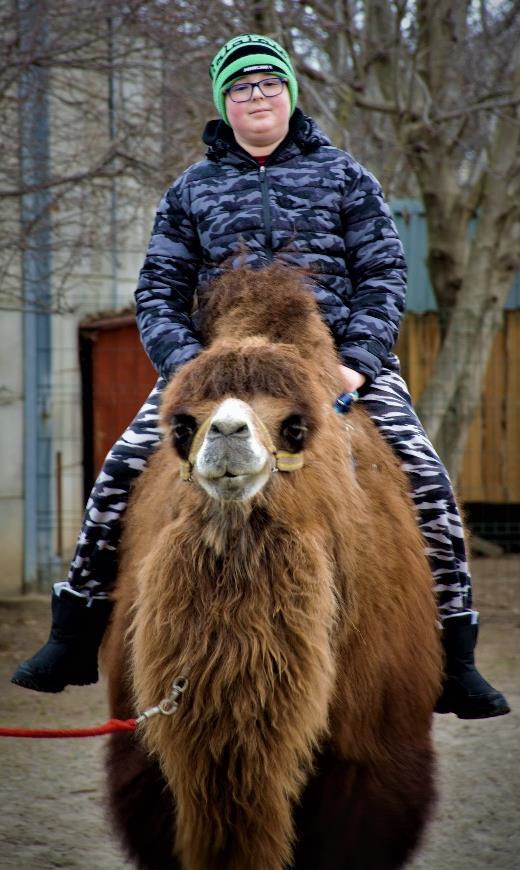 Téli élménybeszámoló