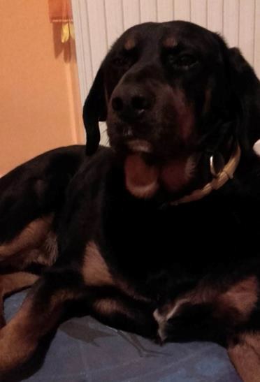 Keserédes karácsony