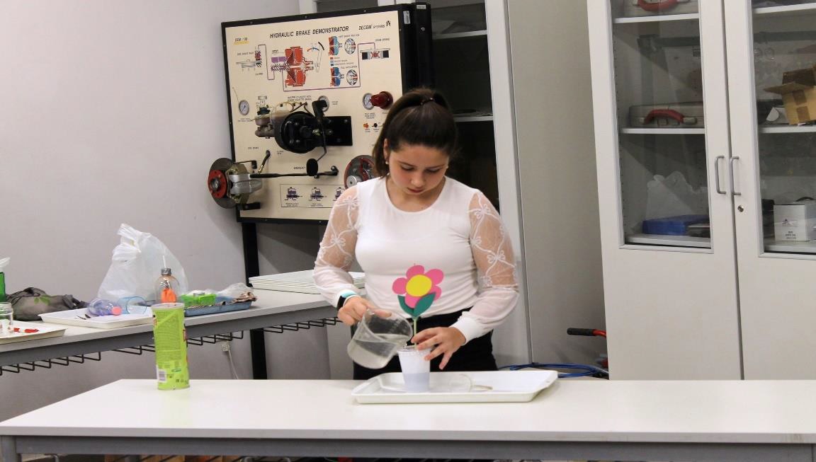 Bronz az Öveges délutánon