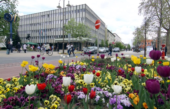Polgármesteri hivatal rovatnyitó