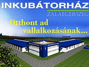 inkubator