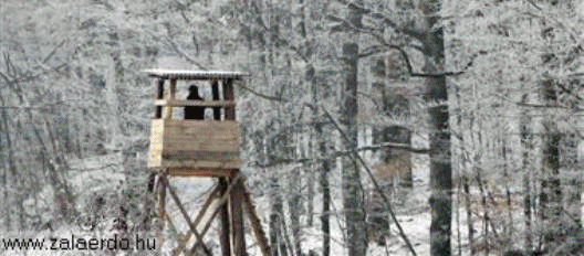 Városunkban működő legnagyobb cégek gif